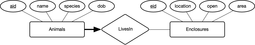 The ER diagram of the Key+Participation Constraint between animals and enclosures
