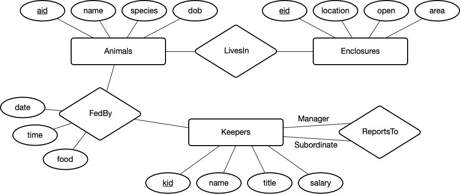 The ER diagram for the Zoo